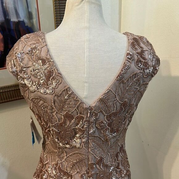 NWT Alex Evenings Champagne Lace Sequin Dress 6 - Picture 8 of 12